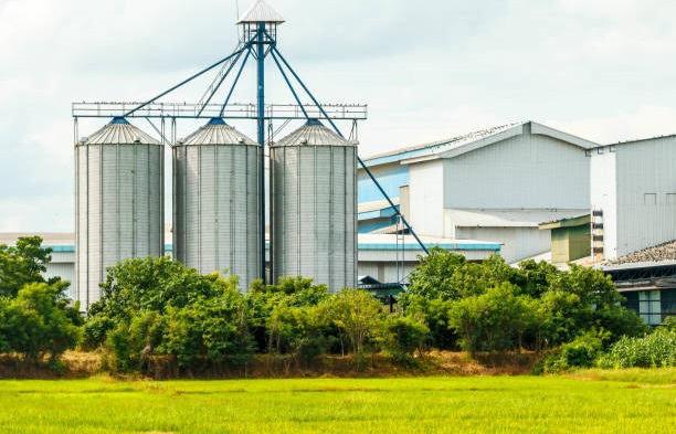 Indonesian Vegetable Shortening Exporters